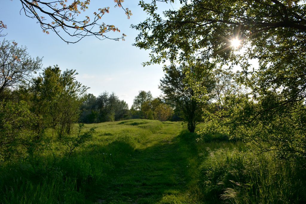Fehérvár Médiacentrum fotója