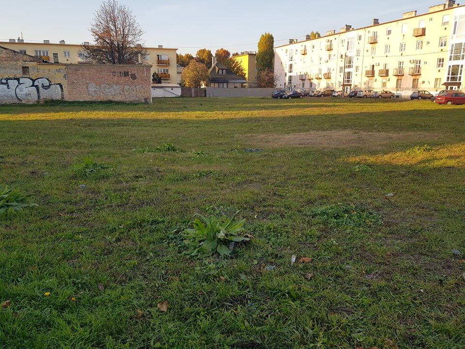 Fehérvár Médiacentrum fotója