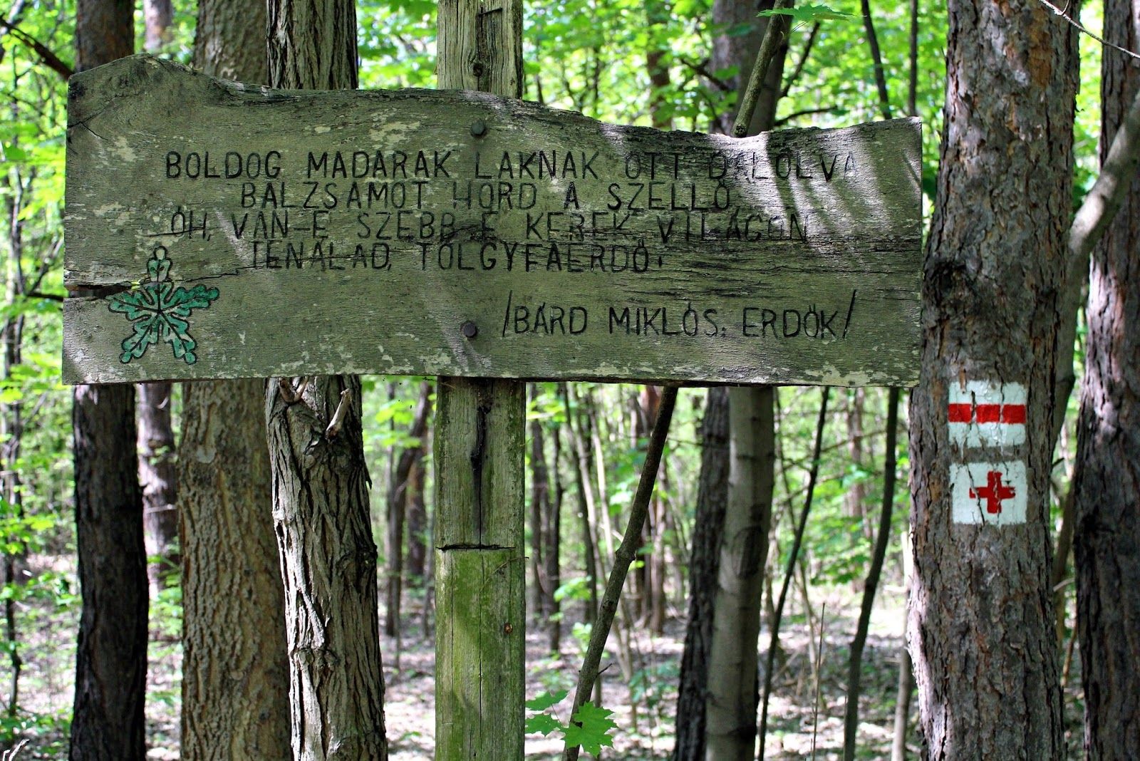 Fehérvár Médiacentrum fotója