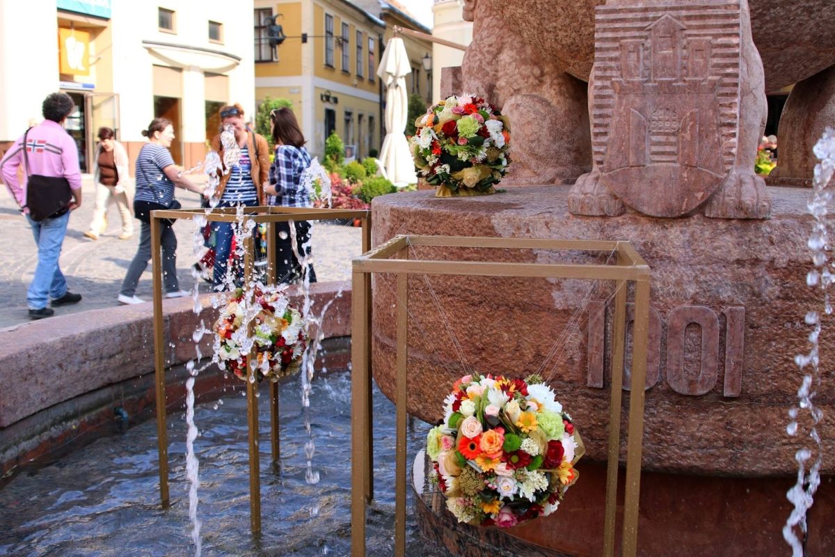 Fehérvár Médiacentrum fotója