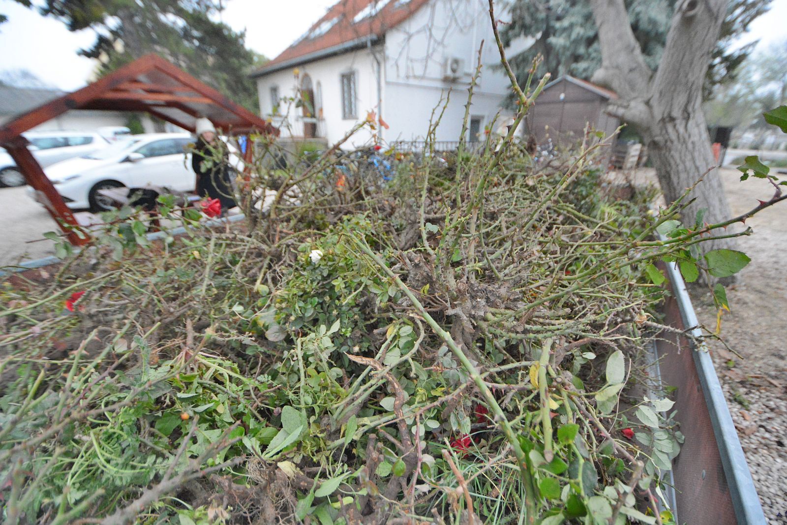 Fehérvár Médiacentrum fotója