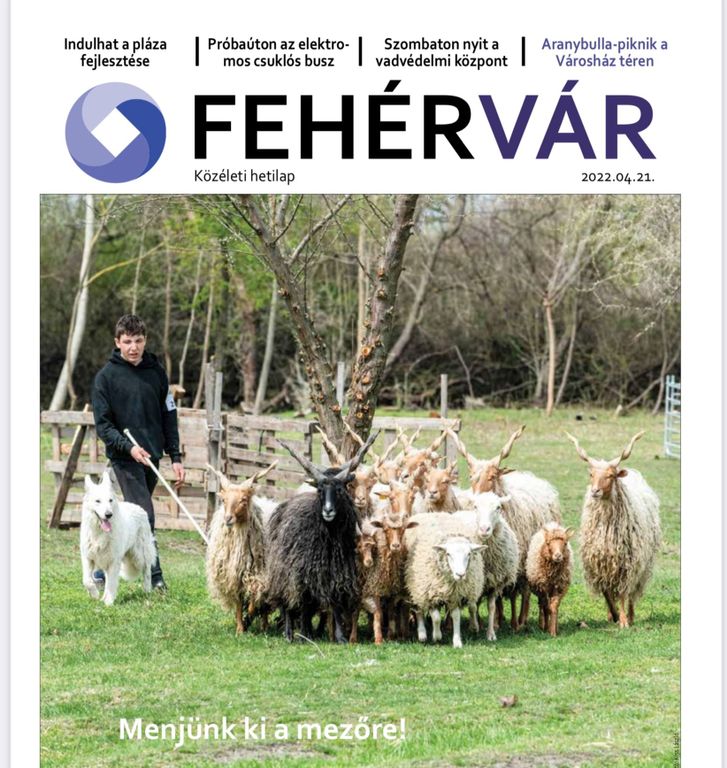 Fehérvár Médiacentrum fotója