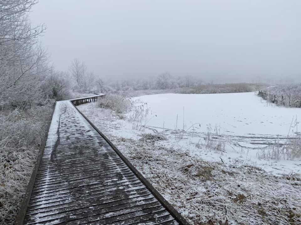 Fehérvár Médiacentrum fotója