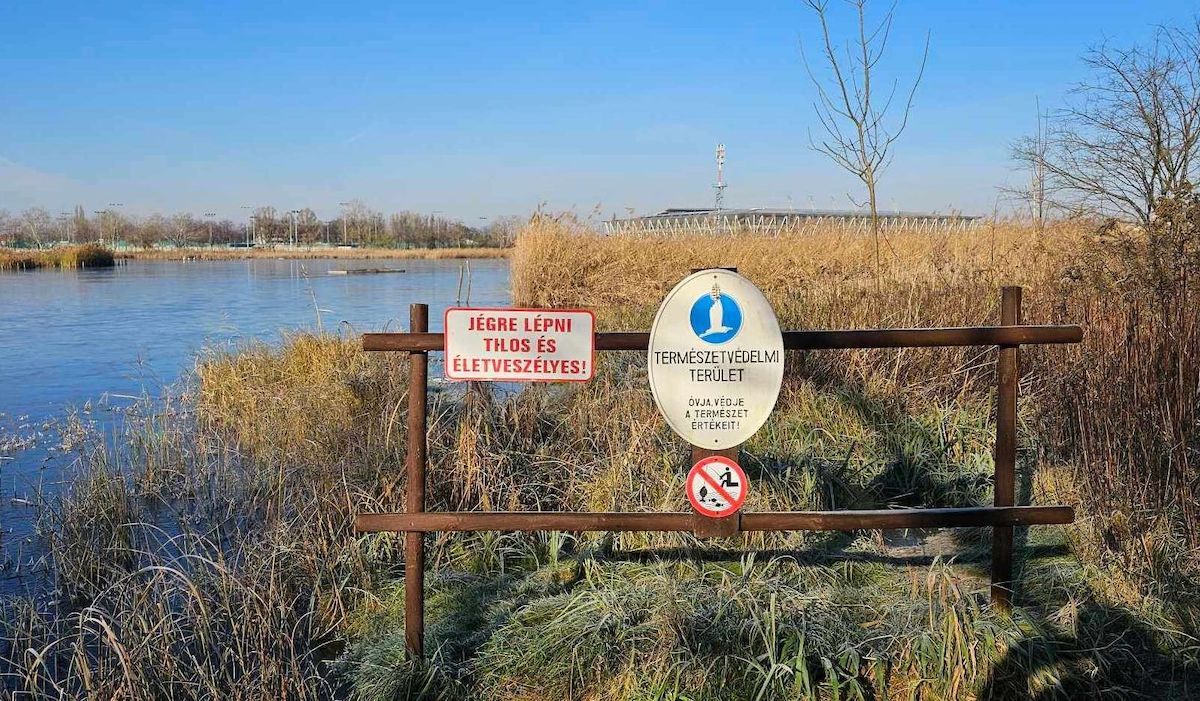 Fehérvár Médiacentrum fotója