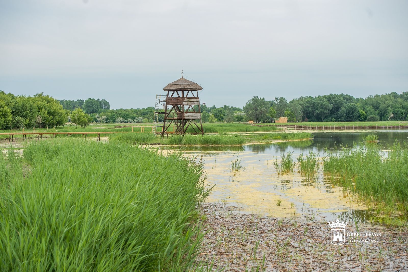 Fehérvár Médiacentrum fotója