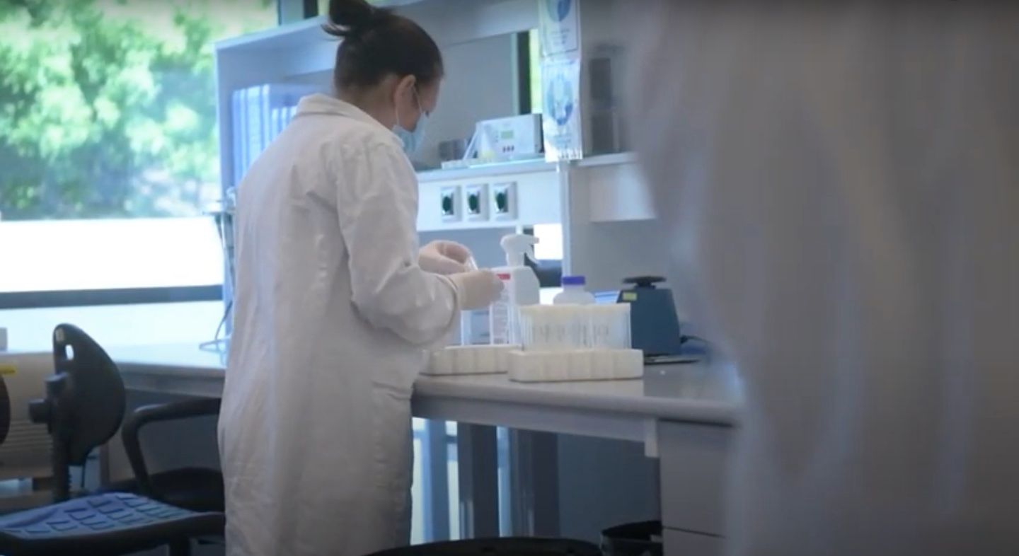 Fehérvár Médiacentrum fotója