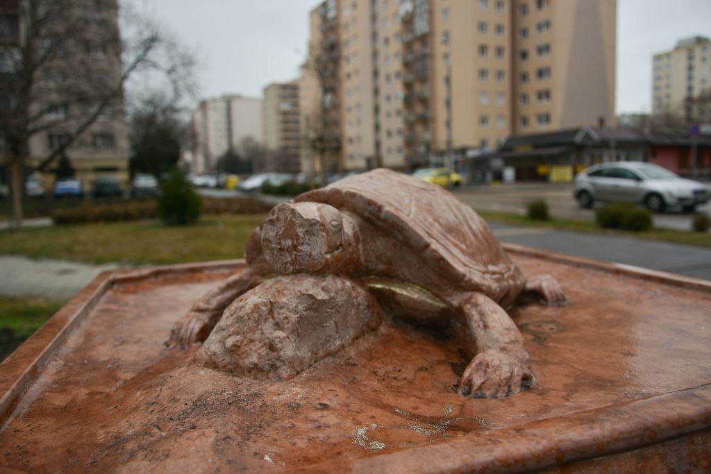 Fehérvár Médiacentrum fotója