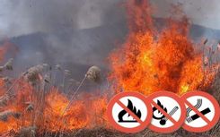 Fehérvár Médiacentrum fotója