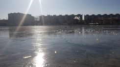Fehérvár Médiacentrum fotója