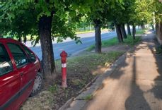 Fehérvár Médiacentrum fotója