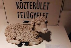 Fehérvár Médiacentrum fotója