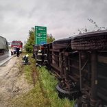 Fehérvár Médiacentrum fotója