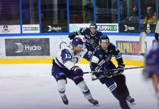 Fehérvár Médiacentrum fotója
