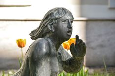 Fehérvár Médiacentrum fotója