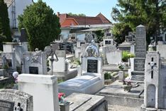 Fehérvár Médiacentrum fotója