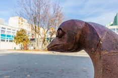 Fehérvár Médiacentrum fotója
