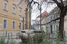 Fehérvár Médiacentrum fotója