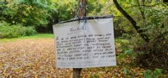 Fehérvár Médiacentrum fotója