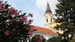 Fehérvár Médiacentrum fotója