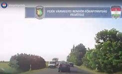 Fehérvár Médiacentrum fotója