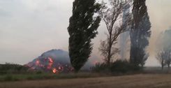Fehérvár Médiacentrum fotója