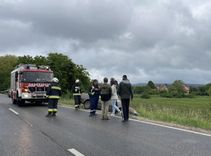 Fehérvár Médiacentrum fotója