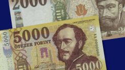Fehérvár Médiacentrum fotója
