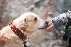 Fehérvár Médiacentrum fotója