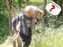 Fehérvár Médiacentrum fotója