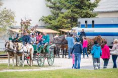 Fehérvár Médiacentrum fotója