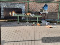 Fehérvár Médiacentrum fotója