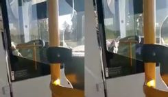 Fehérvár Médiacentrum fotója