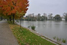 Fehérvár Médiacentrum fotója