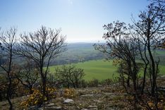 Fehérvár Médiacentrum fotója