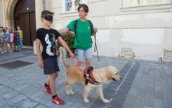 Fehérvár Médiacentrum fotója