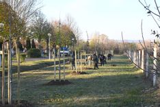Fehérvár Médiacentrum fotója