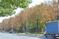 Fehérvár Médiacentrum fotója