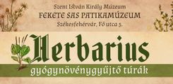 Fehérvár Médiacentrum fotója
