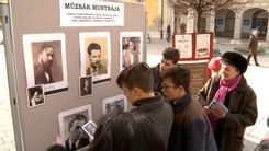 Fehérvár Médiacentrum fotója