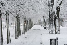 Fehérvár Médiacentrum fotója