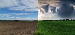 Fehérvár Médiacentrum fotója