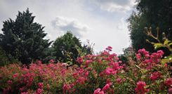 Fehérvár Médiacentrum fotója