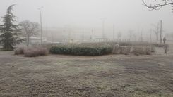 Fehérvár Médiacentrum fotója