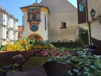 Fehérvár Médiacentrum fotója