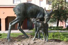 Fehérvár Médiacentrum fotója