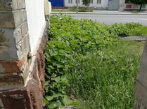 Fehérvár Médiacentrum fotója
