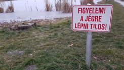 Fehérvár Médiacentrum fotója