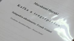 Fehérvár Médiacentrum fotója