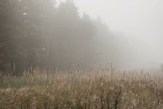 Fehérvár Médiacentrum fotója