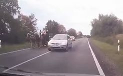 Fehérvár Médiacentrum fotója